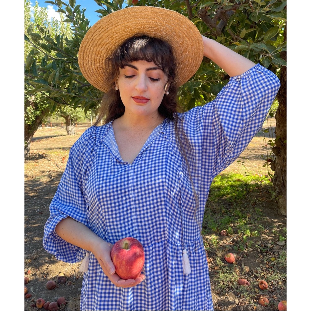 Blue gingham dress